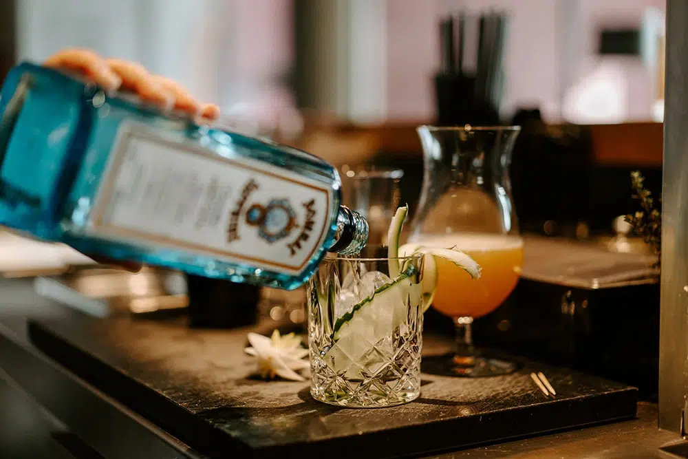 Hotel VILOTEL - Bar